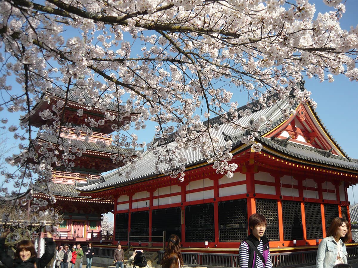 JAPONYA