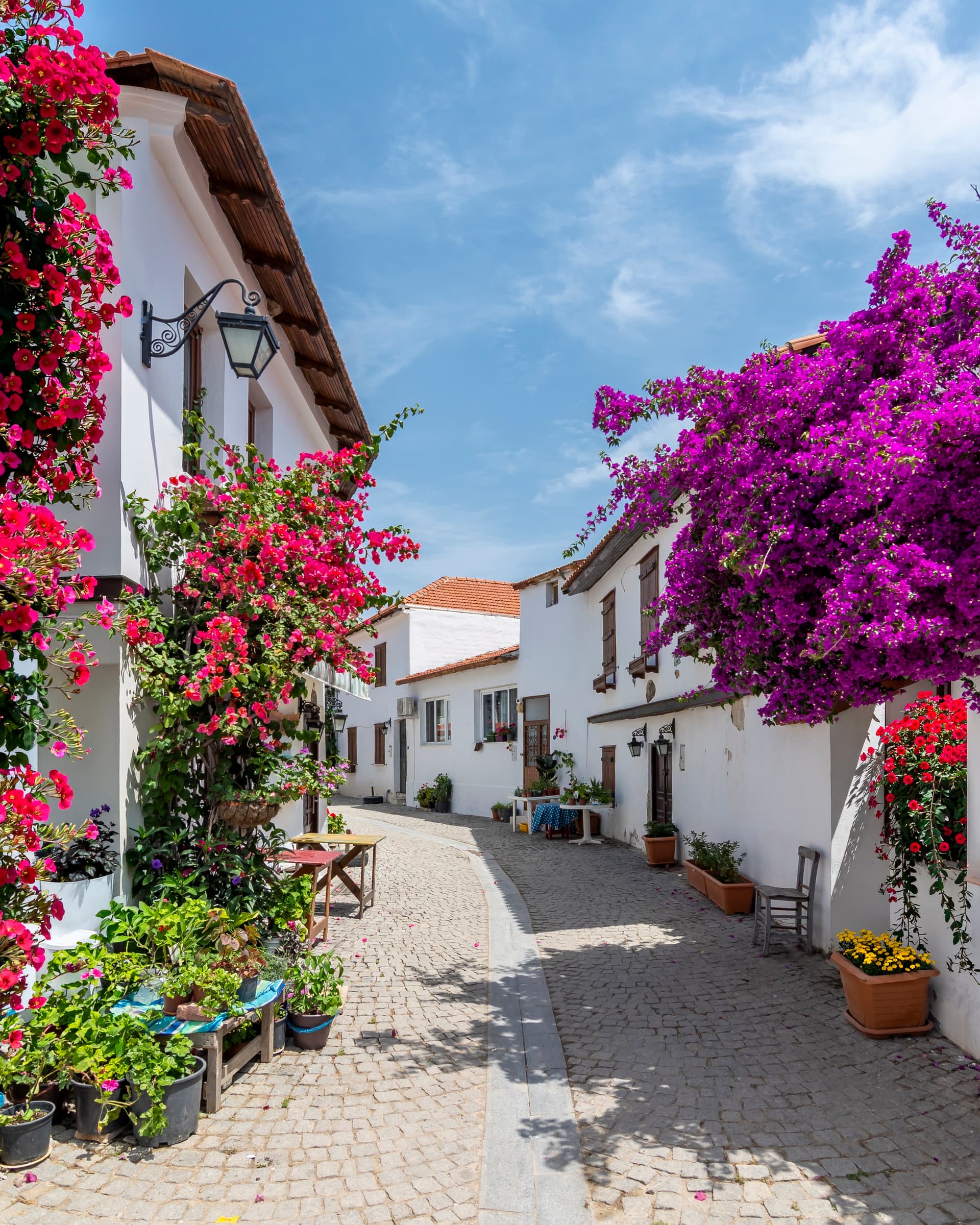 SIĞACIK VE SAMOS