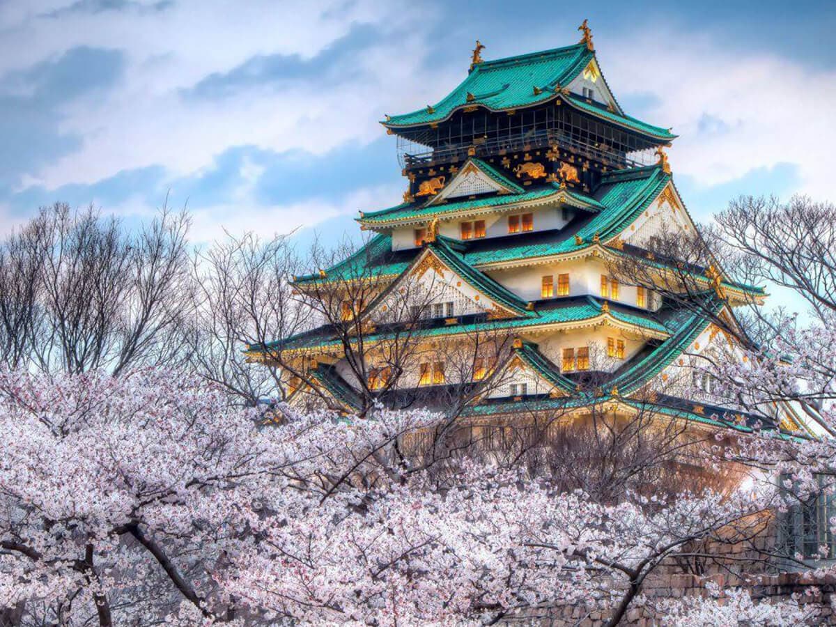 SAKURA ZAMANI JAPONYA - KUTUP YILDIZI