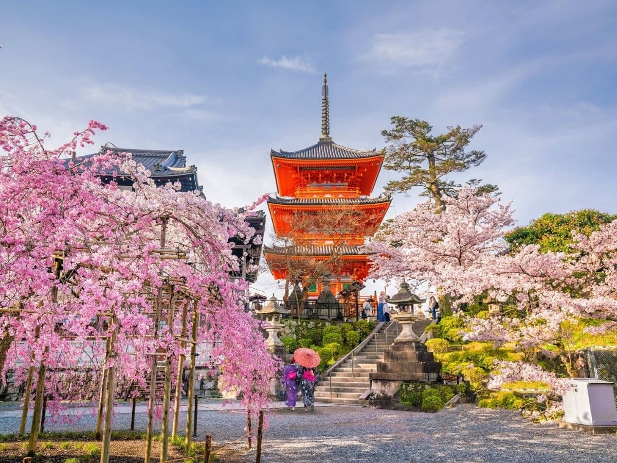 SAKURA ZAMANI JAPONYA - 14