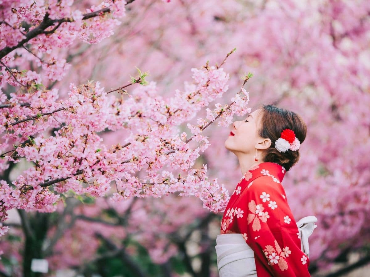 SAKURA ZAMANI JAPONYA - BUSINESS - 13