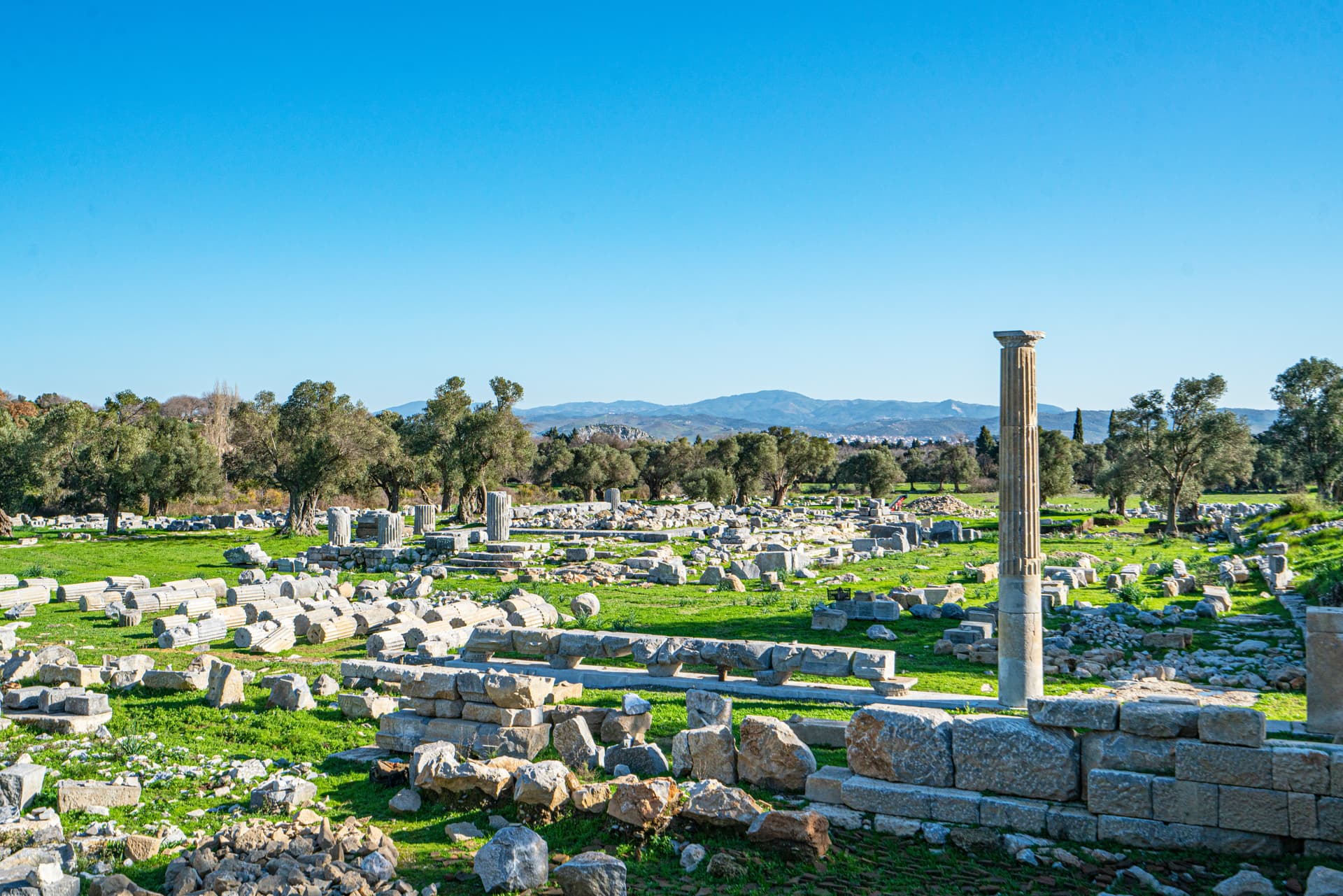 SIĞACIK VE PİSAGOR'UN İZİNDE SAMOS - 3