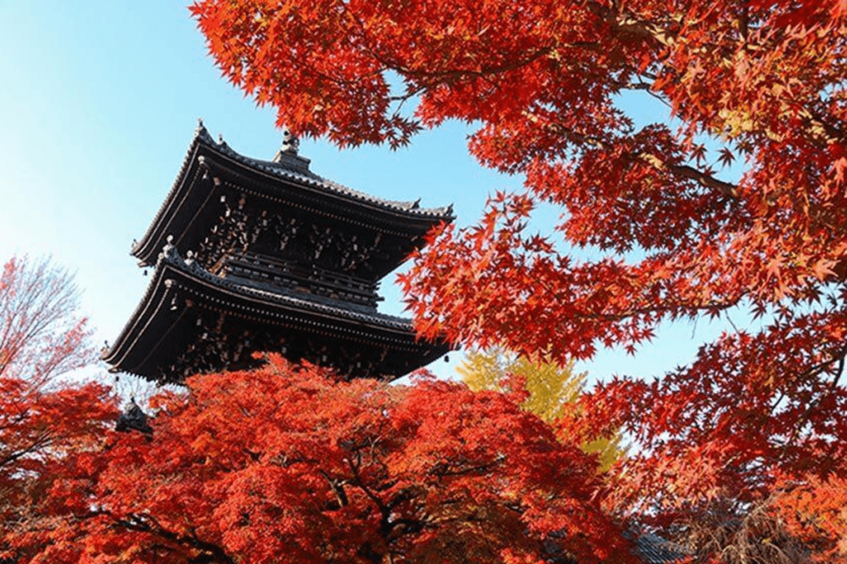 KOYO ZAMANI SONBAHARDA JAPONYA - 1