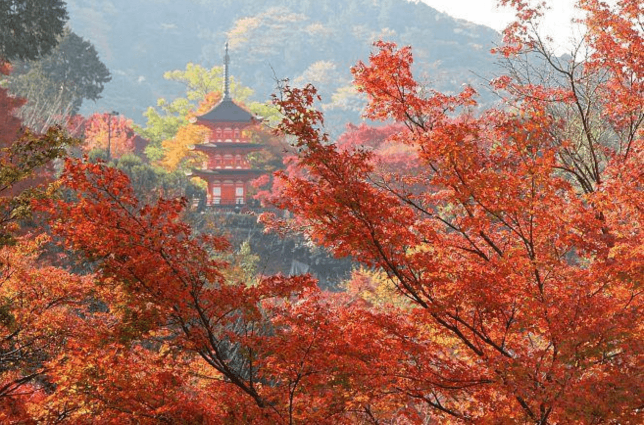 KOYO ZAMANI JAPONYA - KUTUP YILDIZI - 4