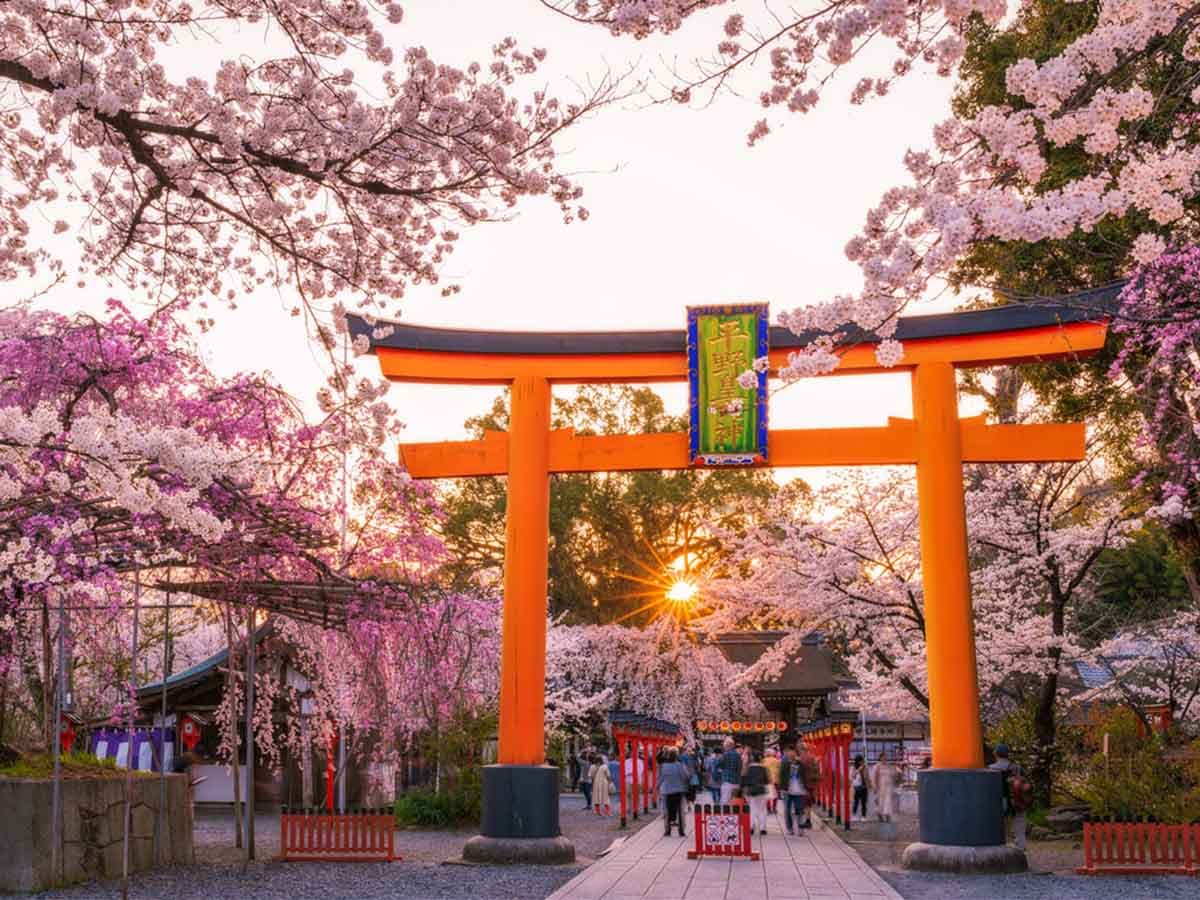 JAPONYA - BUSİNESS